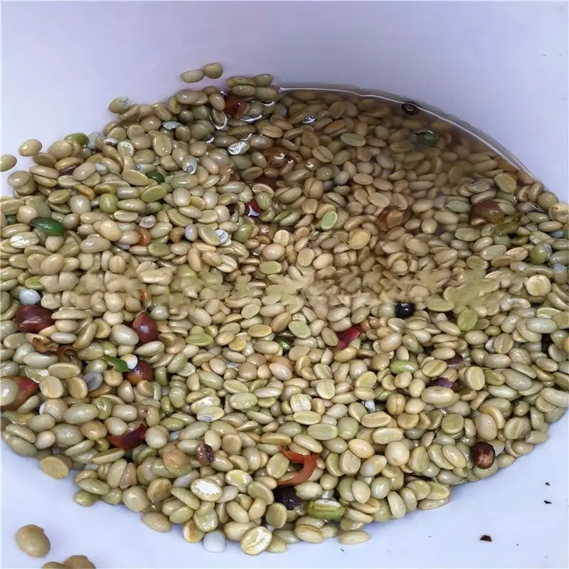 Specialty Parchment Coffee Roa - Coffee Equipment In China ulasan dan harga